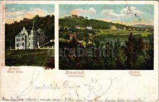 1905 Brassó, Kronstadt, Brasov; Dealul Strajii / Fellegvár, villa / Schlossberg / villa (EK)
