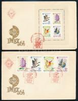 1964 (2 db)