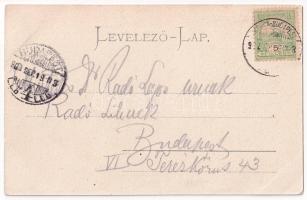 1902 Lugos, Lugoj; Pályaudvar, vasútállomás, vonat, gőzmozdony. Auspitz Adolf kiadása / Bahnhof / ra...