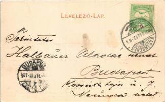 1907 Karánsebes, Caransebes; Dealul Crucii (Kereszthegy) és a villanytelep / Dealul Crucii si stabil...