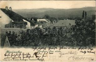 1911 Karánsebes, Caransebes; Teus utca. H. Rosenfeld kiadása / Teusgasse / street view (kis szakadás / small tear)