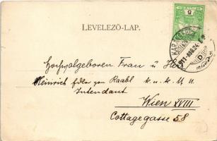 1911 Karánsebes, Caransebes; Teus utca. H. Rosenfeld kiadása / Teusgasse / street view (kis szakadás...