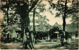 1908 Nagybánya, Baia Mare; Liget részlet, vendéglő. Steinfeld Móritz és fia kiadása / park, restaurant (EB)