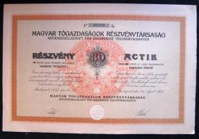 1927. "Magyar Tógazdaságok Részvénytársaság" részvénye 30P-ről, szelvényekkel