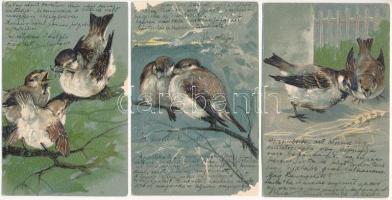 3 db RÉGI hosszú címzéses dombornyomott litho képeslap madarakról / 3 pre-1904 embossed litho motive postcards: birds