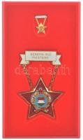 ~1970 Szakma Ifjú Mestere műanyag - bronz kompozit kitüntetés műgyantás színezéssel, miniatűrrel, tokban (41x41mm) T:1