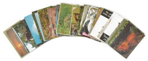 64 db MODERN állatos képeslap / 64 modern animal motive postcards