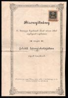 1905 Arad, felsőbb magán leányiskola bizonyítványa