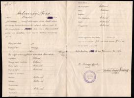 1905 Arad, felsőbb magán leányiskola bizonyítványa