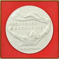 1969. Fegyverbe! Fegyverbe! 1919-1969 egyoldalas Hollóháza porcelán emlékérem eredeti dísztokban (170mm) T:1-