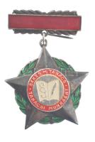 ~1970-1980. Békés M. Tanács Tanácsi munkáért ezüstözött kitüntetés (40mm) T:1-,2