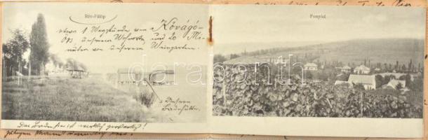 1905 Balaton. Kihajtható 4 lapos füzet szecessziós virágos borítóval. Balatonföldvár, Balatonszepezd...