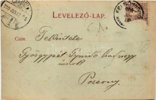 1900 Gyertyánliget, Polyána-Gyertyánliget, Kabola Polyána, Kobyletska Poliana (Máramaros, Maramures)...