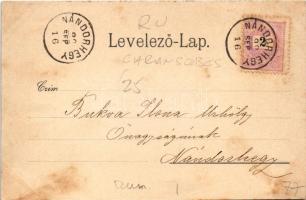 1899 (Vorläufer) Karánsebes, Caransebes; látkép, háttérben a zsinagóga. Perlfaster H. és fia kiadása...