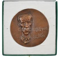 Várhelyi György (1942-) DN Vermes Miklós egyoldalas bronz emlékérem sérült bársonyborítású tokban (110mm) T:1-