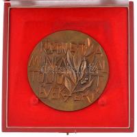 Nagy István János (1938-) DN Köszönet a közös munkával töltött évekért egyoldalas bronz emlékérem (95mm) T:1-