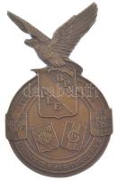 1938. Budapest V. Kerületi Turul Polgári Lövész Egylet / 1938.VI.4-6. bronz díjérem Fühl gyártói jelzéssel (62x39mm) T:1-