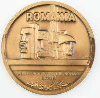 Román katonai minisztérium bronz plakett d: 7 cm Díszdobozban