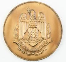 Román katonai minisztérium bronz plakett d: 7 cm Díszdobozban