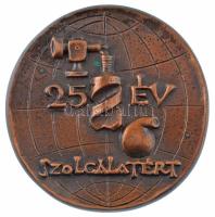Madarassy Walter (1909-1994) DN Földmérő és Talajvizsgáló Vállalat / 25 év szolgálatért öntött bronz kétoldalas emlékérem (96mm) T:1- kis patina