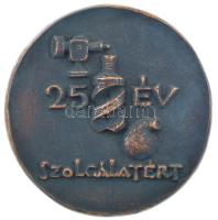 Madarassy Walter (1909-1994) DN Földmérő és Talajvizsgáló Vállalat / 25 év szolgálatért öntött bronz kétoldalas emlékérem (100mm) T:1- patina
