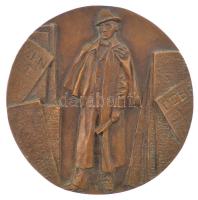 Váró Márton (1943-) DN Debrecen egyoldalas bronz emlékérem (120mm) T:1-