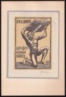 Földes Imre (1881-1948): Ex libris Radványi-Román Károly, fametszet, papír, jelzett, kartonra ragasztva, 15,5×12 cm