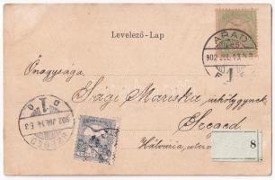 1902 Arad, Szabadság tér, piac, üzletek. Szecessziós litho montázs magyar zászlóval / square, market...