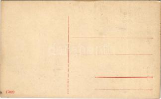 Arad, Nyári színkör / summer theatre