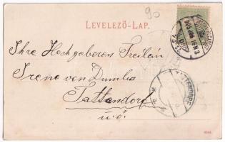 1905 Karánsebes, Caransebes; Papnövelde és tanító képezde, Friedr. Grochowina és R. Grau üzlete / In...