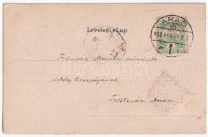 1902 Arad, Szabadság tér, piac, üzletek. Szecessziós címeres litho keret / square, market, shops. Ar...