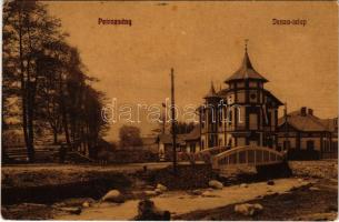 1911 Petrozsény, Petrosani; Janza telep, Weinberger Bernát, Roth Béla üzlete, híd. Muntyán Tivadar kiadása / street view, shops, bridge (EK)