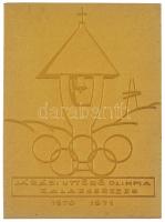1971. Járási Úttörő Olimpia 1970-1971 egyoldalas szinterezett fém aranyérem plakett (70x50mm) T:1-,2