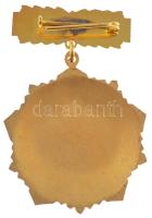 ~1970. "Magyar-Szovjet Baráti Társaság" zománcozott, aranyozott jelvény T:1-