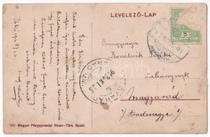 1912 Piski, Simeria; Arany utca, Ferber János és Jäger Alajos üzlete / street, shops (r)