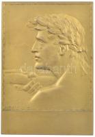 1932. Herceg Odeschalchi Károly jutalomdíj céllövészet 1932 egyoldalas bronz emlékplakett, mellékelt újságkivágással, eredeti Arkanzas díszdobozban (72x50mm) T:1-