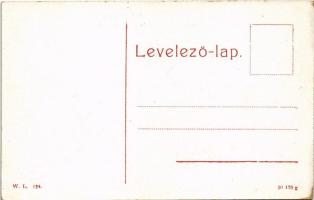 Boksánbánya, Németbogsán, Deutsch-Bogsan, Bocsa Montana; Fő utca, Singer (?) üzlete. W.L. 128. / mai...