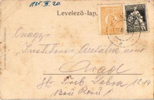 Felsőbánya, Baia Sprie; Bányahegyi részlet. Túry József amatőr felvétele / hiking spot (fa)