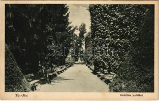 1934 Targu (Tergu) Jiu, Zsilvásárhely; Gradina publica / park garden