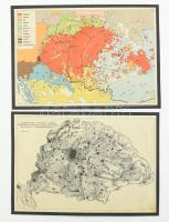 cca 1920 Magyarország néprajzi és népsűrűségi térképei 2 db, papír kartonon, körbevágott, 13x19 cm