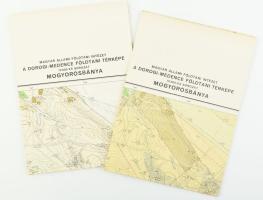 1973 Magyar Állami Földtani Intézet, a Dorogi-medence észlelési és földtani térképe, Mogyorósbánya, 1:10 000, 2 db