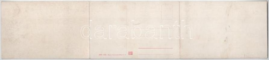 Tátra, Magas-Tátra, Vysoké Tatry; Poprádi tó. 3-részes kihajtható panorámalap / Popradské pleso / la...