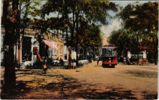 Lacu Sarat, Statia Tramvaiului / tramway station, cafe and restaurant