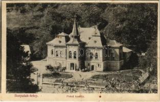 1913 Borpatak, Valea Borcutului; Pokol Elek kastély. Kovács Gyula kiadása / castle (EB)