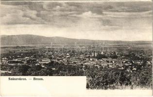 Szászváros, Broos, Orastie; látkép. H. Graef kiadása / general view (fa)