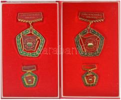 ~1960-1980. "A Vállalat Kiváló Brigádja - Szocialista Brigád" aranyozott, műgyantás jelvény miniatűrrel, eredeti tokban (2xklf) T:1