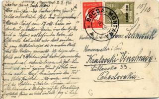 1931 Boksánbánya, Németbogsán, Deutsch-Bogsan, Bocsa Montana; ház kertje kerekes kúttal / house gard...