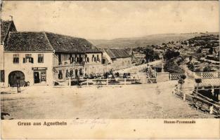 1918 Szentágota, Agnetheln, Agnita; Homm Promenade / tér, Friedrich Essigmann üzlete és saját kiadása / street and shop (Rb)