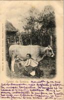 1901 Salutari din Romania / Romanian folklore, woman milking a cow (EK)