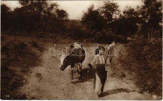 Colectia A. Bellu. Editura Cartea Romaneasca Bucuresti / Romanian folklore, woman with cow